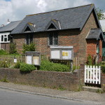 Helen Zelinger's planting 2