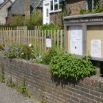 Helen Zelinger's planting 4