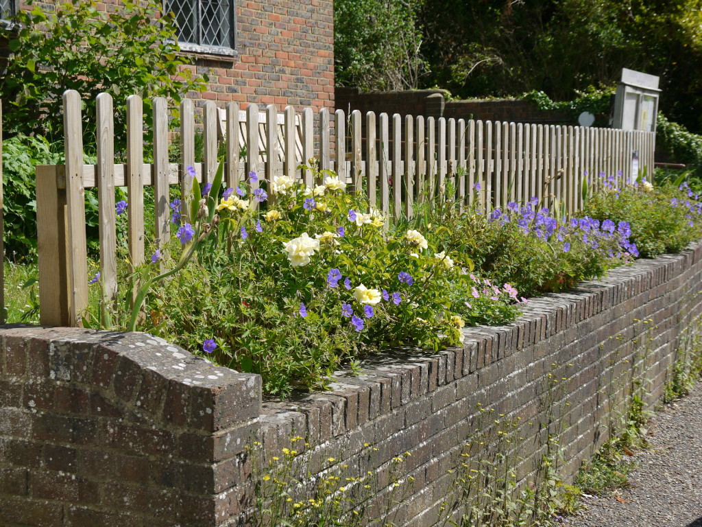 Helen Zelinger's planting 5