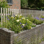 Helen Zelinger's planting 5