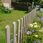 Helen Zelinger's planting 6