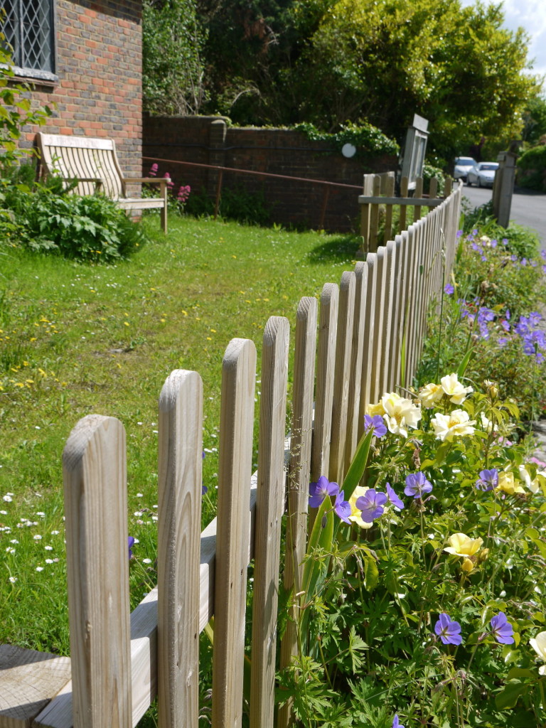 Helen Zelinger's planting 6