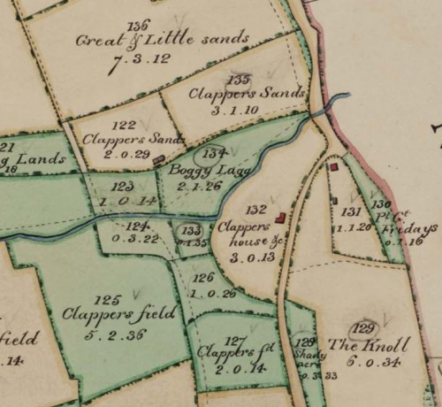 Extract from the 1842 tithe map of Edburton parish