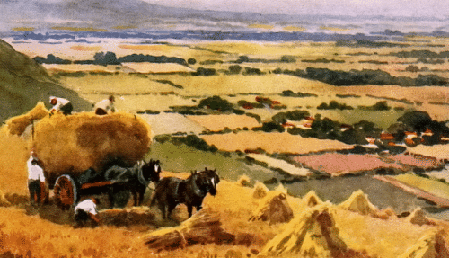 Harvesting with horses