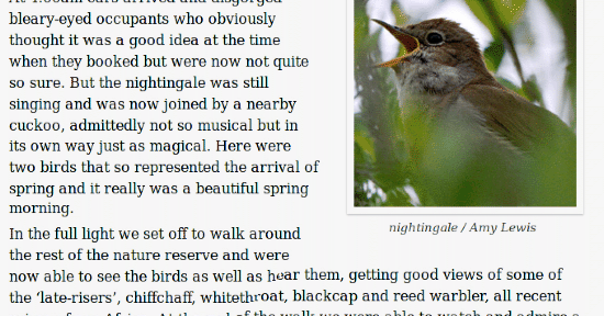 Nightingales at Woods Mill