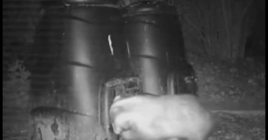 Vandal at Woods Mill