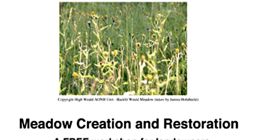 Meadow Creation and Restoration
