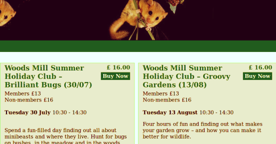 Sussex Wildlife Trust Holiday Club at Woods Mill