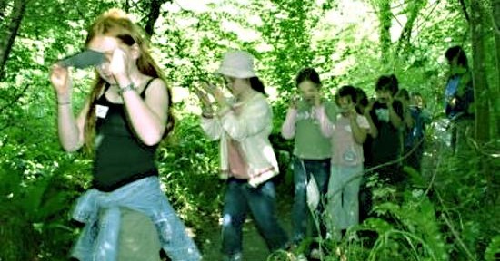 Woods Mill Terrific Trees