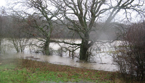 Flooding at Woods Mill in December 2012, by Sue Curnock