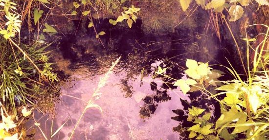 Ladybrook Spring as it once was