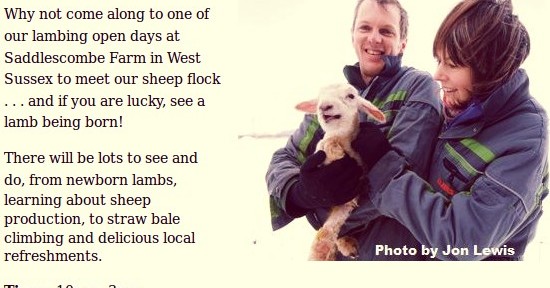 Lambing Open Days at Saddlescombe Farm