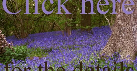 Bluebells at Furzefield REMINDER