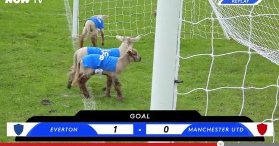 Lamb football in Newtimber