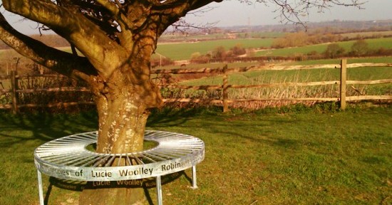 Lucie Woolley Robinson