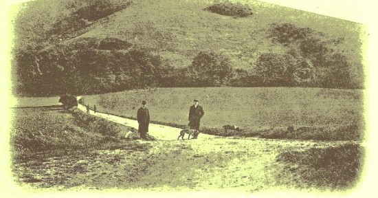 South Downs Society walk