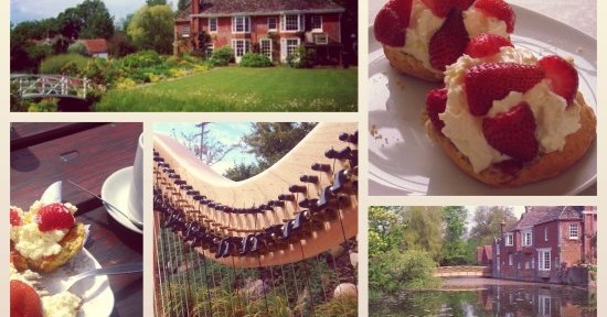 Newtimber harp strawberry tea