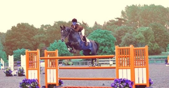 Pyecombe Festival 2014