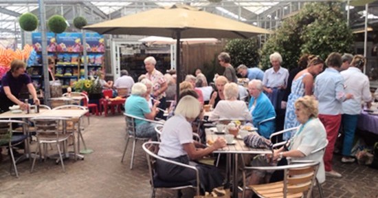 Evergreens at Rushfields