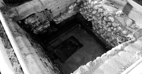 Ladybrook Spring 3rd August 2014