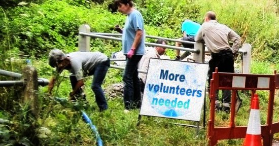 More volunteers needed