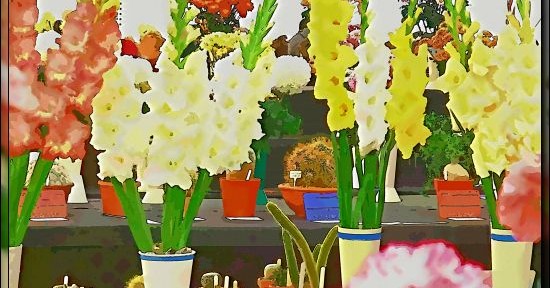 Steyning Horticultural Society Autumn Show