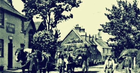 Working in Small Dole