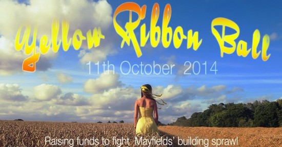 LAMBS Mayfield Yellow Ribbon Ball