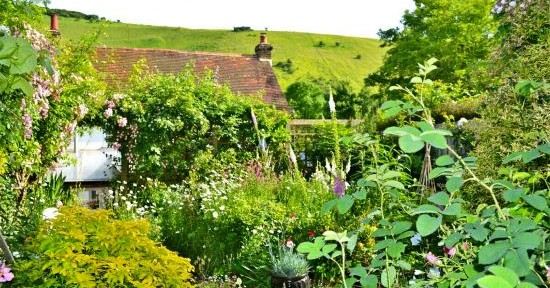 The garden of 1 Southview Cottages, Fulking