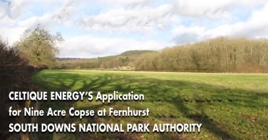 Nine Acre Corpse at Frackhurst