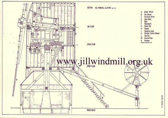 Jill Windmill