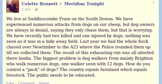 Colette Bennett Meridian Tonight