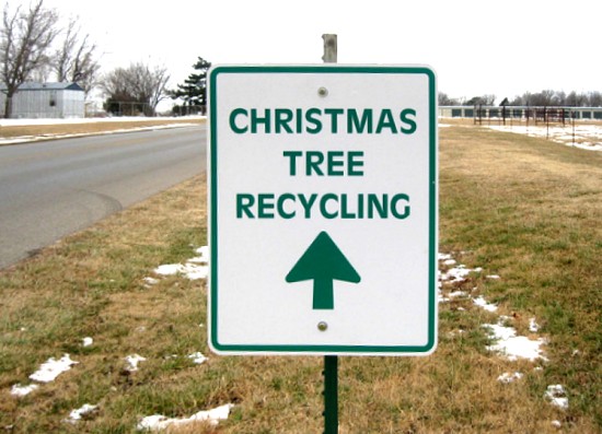 Recycle your Christmas tree