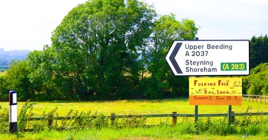 Dogservation No. 3 Fulking Fair & Dog Show 2015