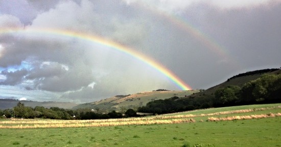 Rainbow Downs Fulking Michael Trist 27th August 2015