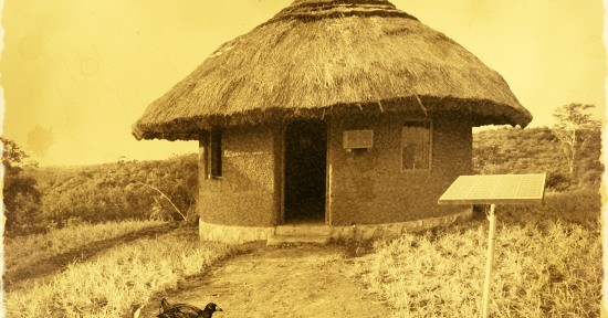 Mud hut with solar panel and coot Twineham solar farm Phillip Coote