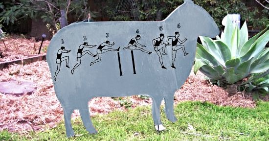 A galvanised sheep plans its escape.