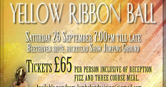 LAMBS Yellow Ribbon Ball 2015