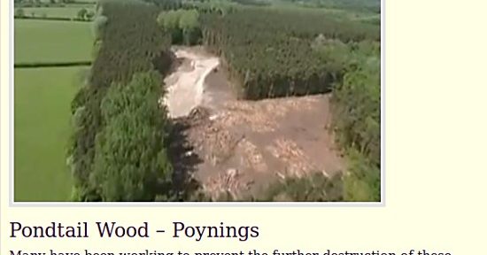 Pondtail Wood information meeting