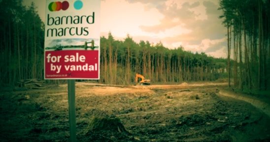 Pondtail Wood for sale by vandal