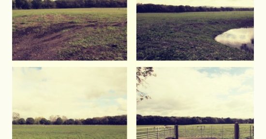 Fields for sale in Wineham