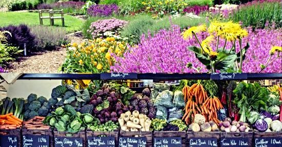 Sussex Countryside Awards