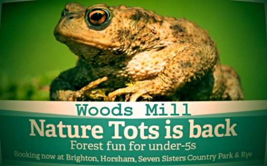 Nature Tots is back