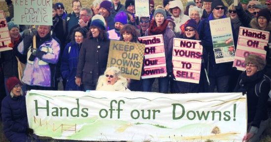 Brighton hocks Downs update