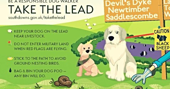 SDNPA dog poop poster