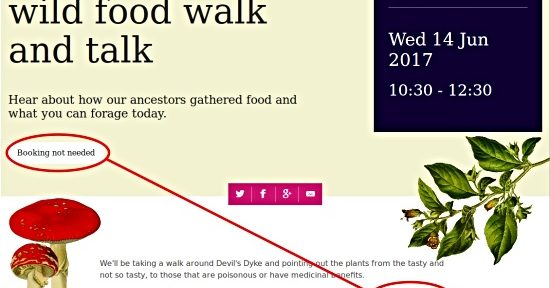 Devil's Dyke wild food walk and talk