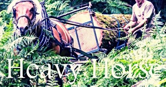 Heavy horse and craft day