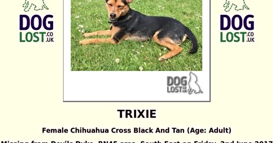 Trixie missing