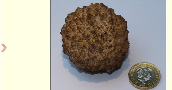 Marcasite nodule found on Fulking Down 5cm