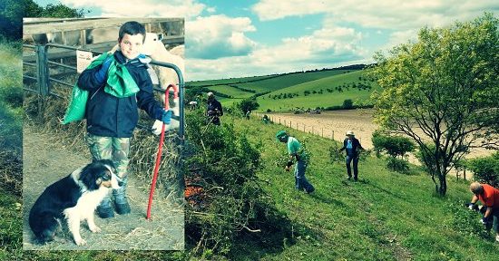 Saddlescombe Farm award